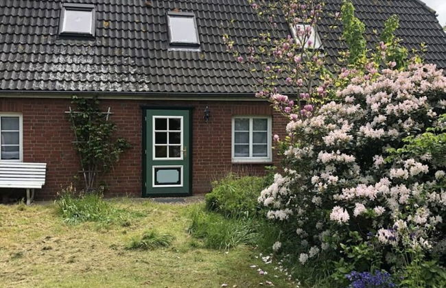 Holiday Apartment Hinrichsen 2 - Photo 7