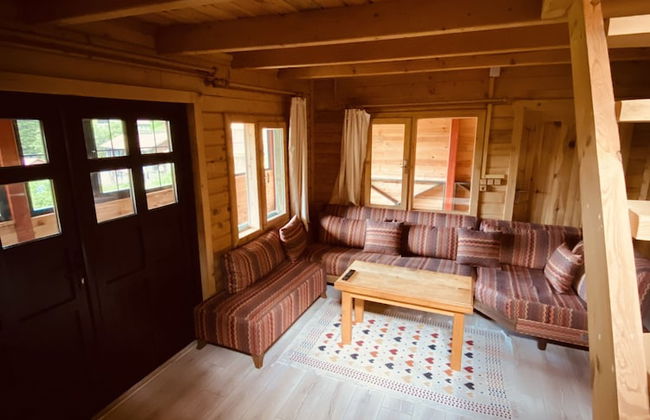 Villa Gencal Ayder - Photo 44