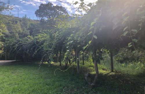 Ribeiro Country House - Near Porto - Foto 16