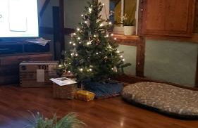 Ferienhaus Wagner - Foto 18