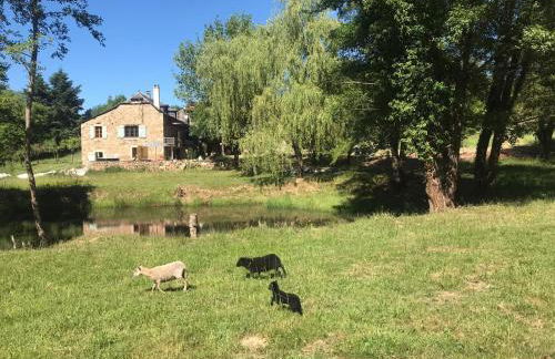 Chez Patoue Gîte et Chambre d'hôtes - Photo 14