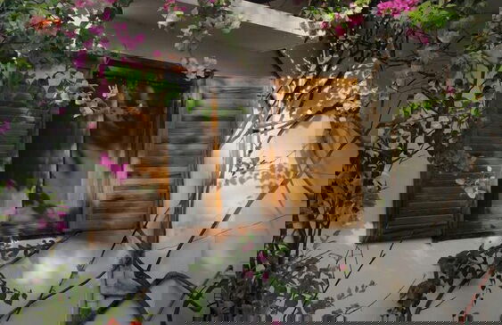 La bougain Villa - Photo 31