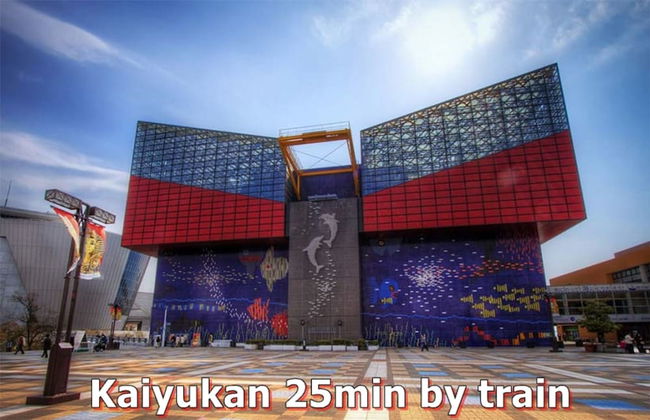 Montana Flat Yebisu - Foto 50