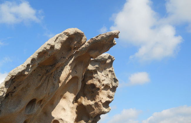 Agriturismo Lu Branu - Photo 22