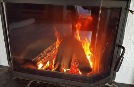 FewoSa Trier-Tarforst - Foto 61