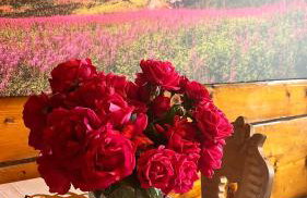 Domek Pod Kogutkiem Na Dolinie - Foto 37