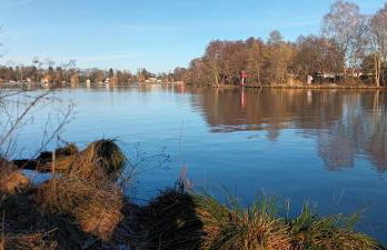 Maaß'ens Ferienhaus - Foto 24