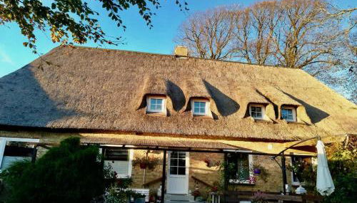 Kreatives Wohnen unter Reet ruhig und doch zentral - Foto 2