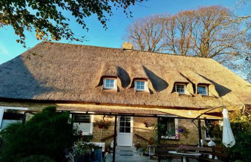 Kreatives Wohnen unter Reet ruhig und doch zentral - Foto 2