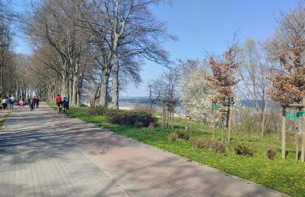 Apartament DELFIN - Photo 41