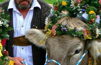 Bavarian Holiday Hideaway - Foto 55