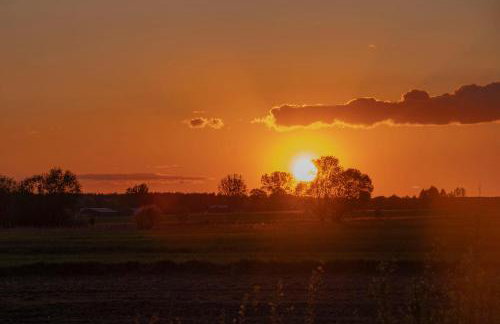 Dwór Na Otulinie - Foto 28