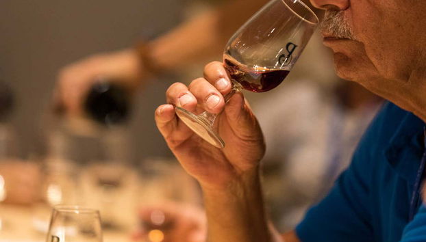 Disfrutando de la cata de vinos