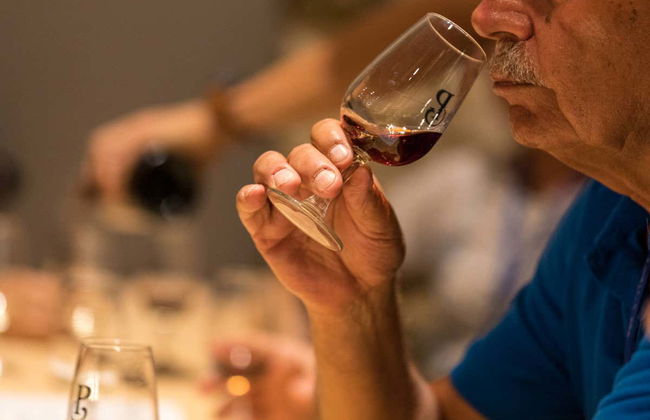 Visita a la bodega Poças - Foto 3