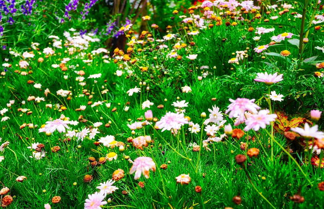 Zetter Suites - Foto 18