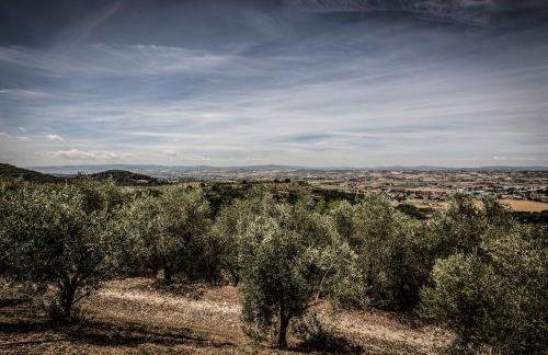 Il Poggio Delle Ginestre - Foto 14