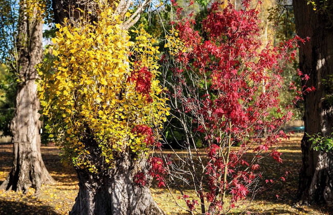 Magical Lucindale - 4 Bedroom House - Foto 61