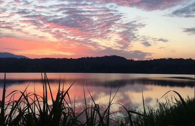 Brusisch 1638 - Photo 49