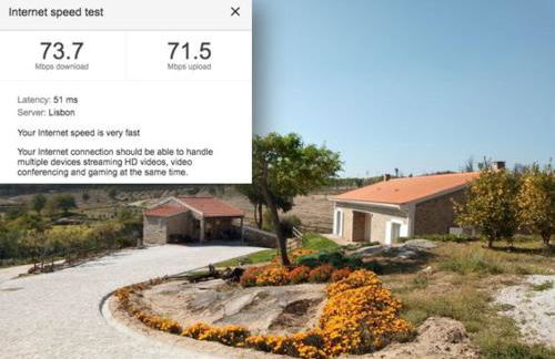 I Love Dão - Casas Da Fraga - Foto 22