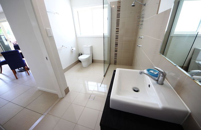 Geckos at South West Rocks - Photo 10