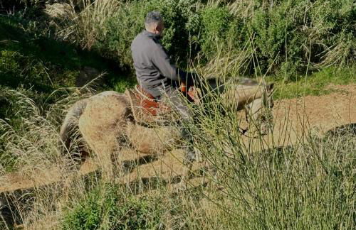 Maremma 1851 - Photo 71