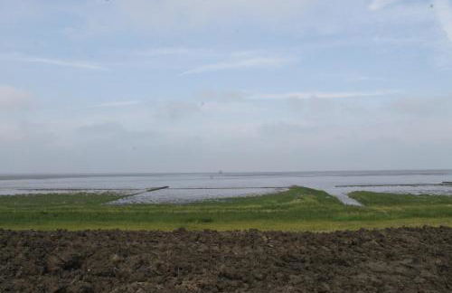 Deichstube - Foto 32