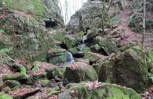 Gästehaus Herrenmühle - Foto 22