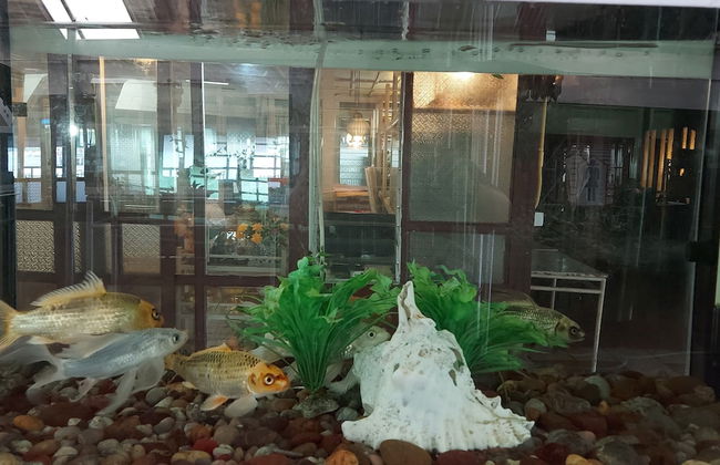 Ruantalay Bangsaray Resort - Foto 32