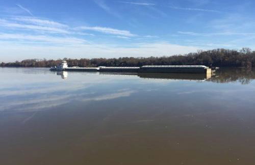 Paw Paw Tree Estate - Foto 21