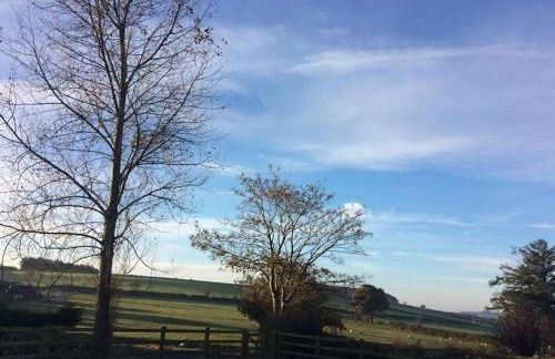 Cottage in the Countryside Near New Quay West Wales - Photo 13