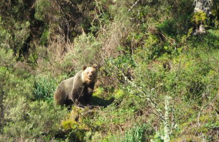 Apartamentos Rurales Casa Baltasar - Foto 44