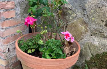 Vrijstaand vakantiehuis La Piccigliana - 6 personen - Foto 35