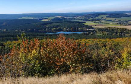 Ferienwohnung "Waldzauber" - Foto 26
