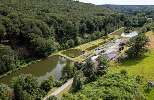 Ferienhaus am See -Teichanlage Kern - Foto 1