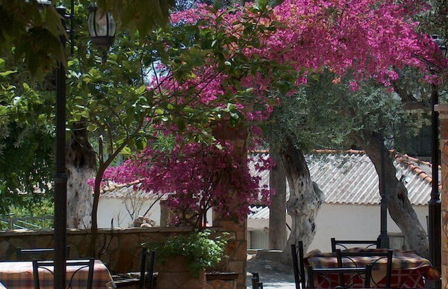 Oasis Exclusive - Photo 78