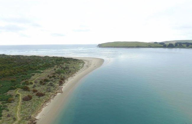 Catlins Newhaven Holiday Park - Foto 29