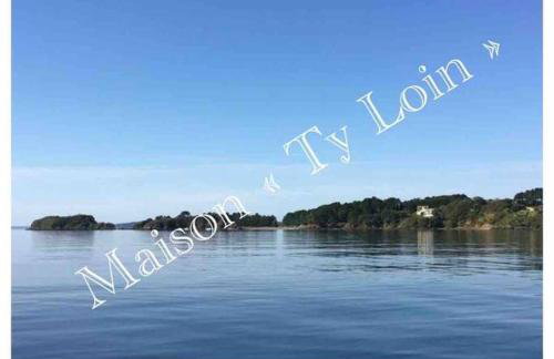 Villa Ty Loin vue mer 8 personnes - Foto 22