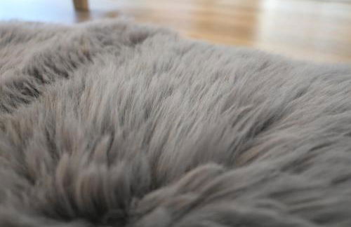 Air an Oir - Skye Self Catering - Foto 65