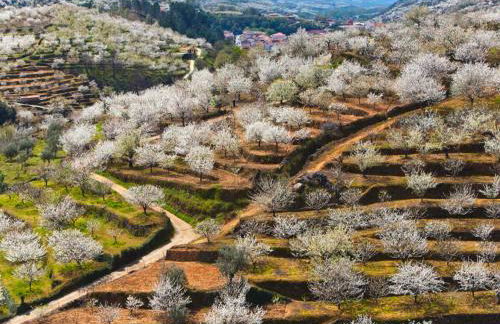 Casas Rurales Acebuche en Valle del Ambroz - Foto 53