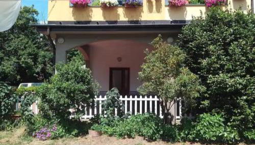 Le camelie 2 di Francesca - Foto 2