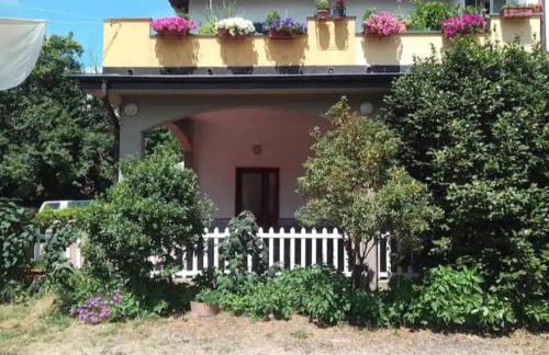 Le camelie 2 di Francesca - Foto 2