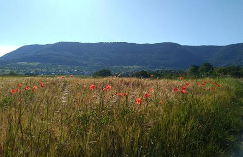 Ferienwohnungen Hubertus - Foto 14