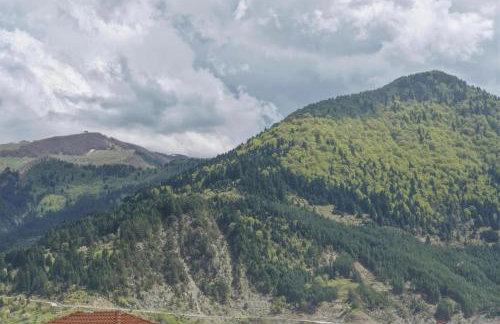 Metsovo Fireplace Retreat 2 - Photo 8