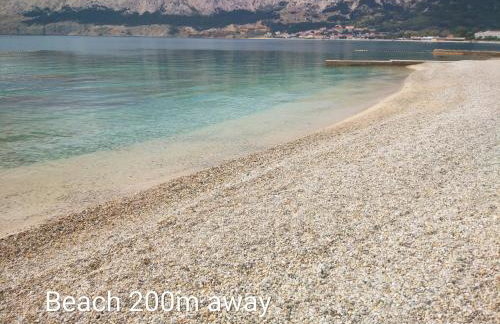 Margarita - Photo 63