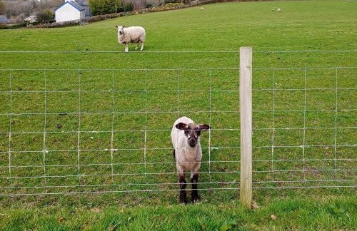 Elidir Cottage - Foto 12