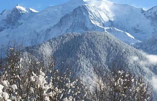 Fizhome Mt Blanc - Photo 56