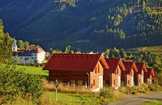 Chalet in Gaal by Ski Slopes & Bathing Pond - Foto 19