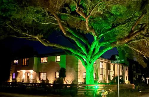 Downtown Historic Charleston Modern Chic 2 bedroom 2 baths - Foto 7