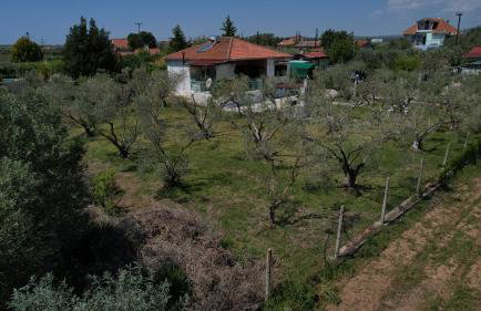 Dream in Chalkidiki 2 bedroom villa with garden - Foto 69