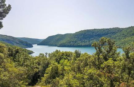 Modern villa Dea with jacuzzi and pool in Porec - Foto 24